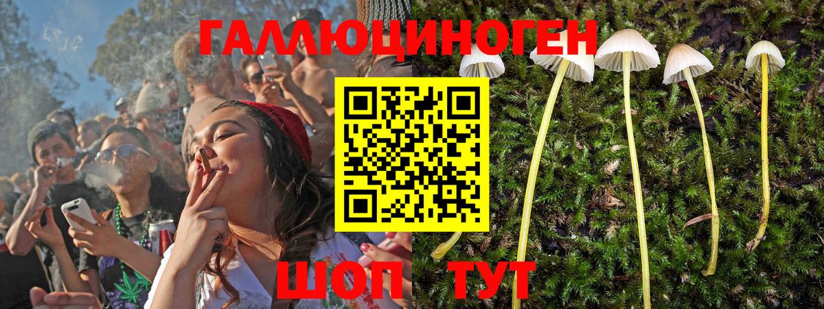 Псилоцибиновые грибы MAGIC MUSHROOMS Можга