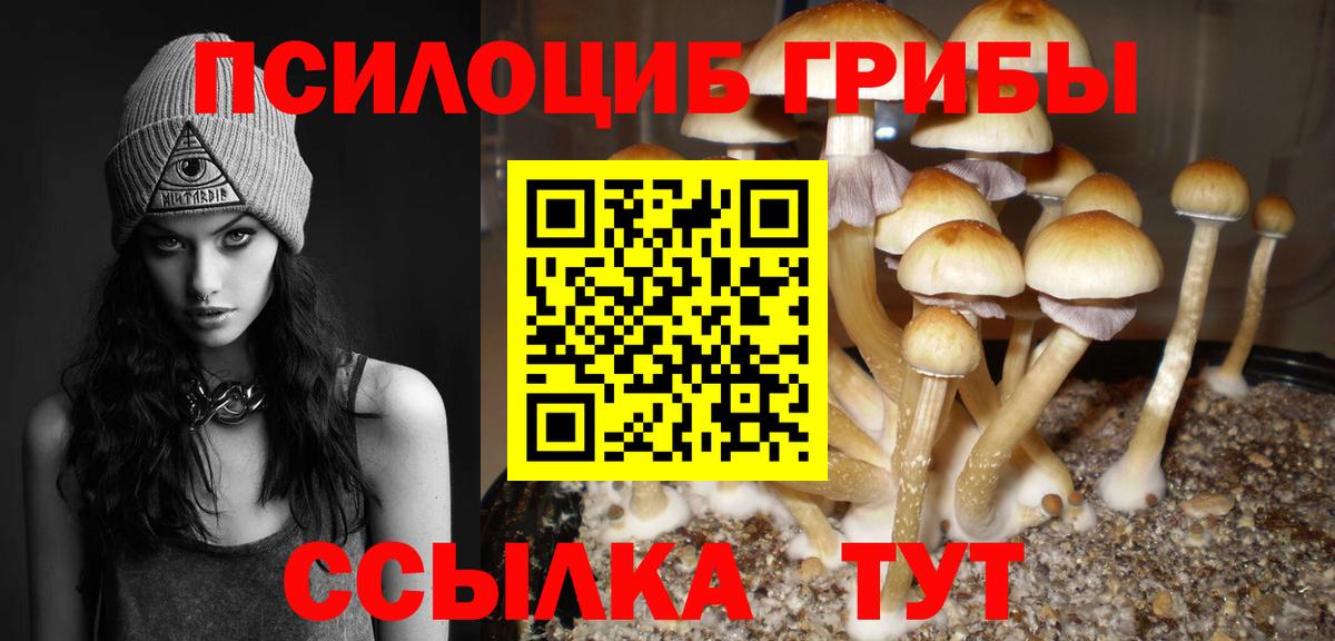 Галлюциногенные грибы Psilocybe  Вход с VPN  Можга 