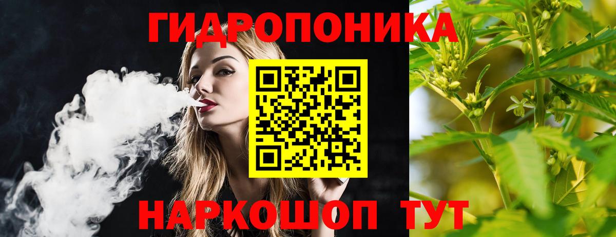 Бошки марихуана AK-47  Вход с VPN  Марихуана планчик  Можга  Бошки Шишки OG Kush 